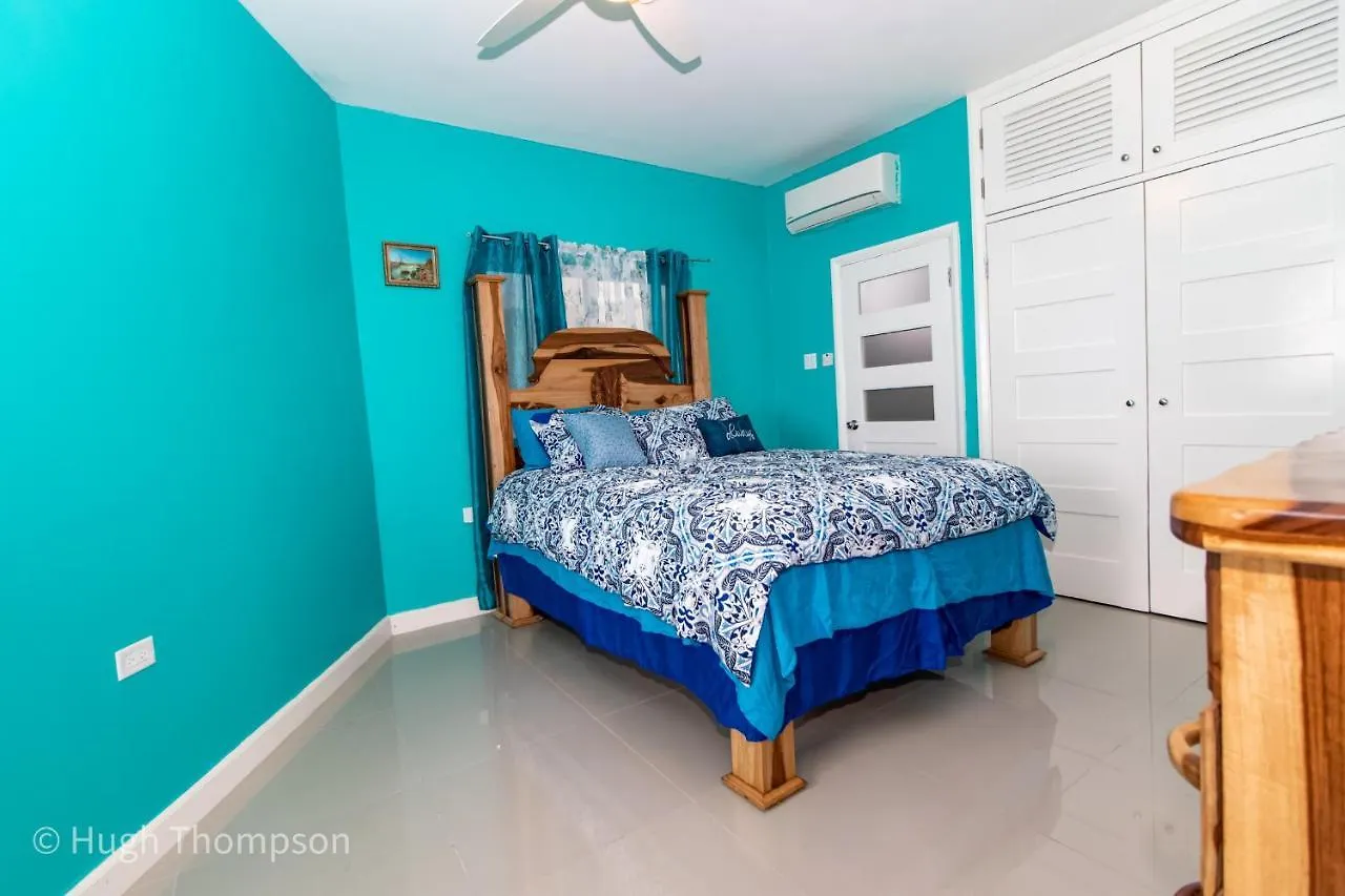 Appartement The Splashing View Saint Maryʼs Jamaica